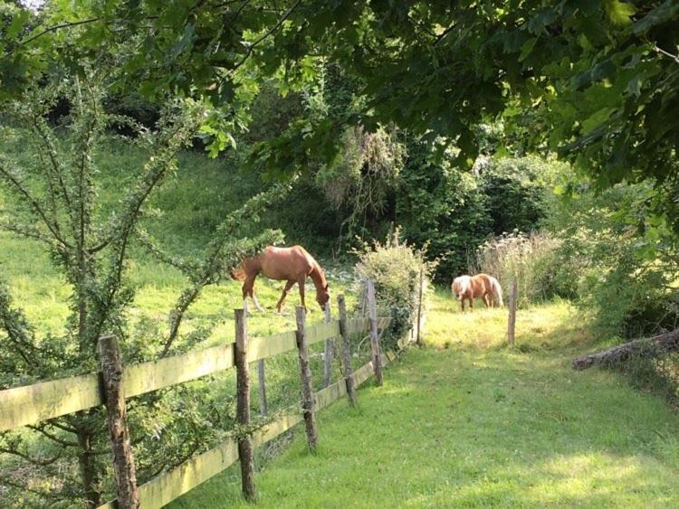 Gite De La Roseraie Villa Ceton Buitenkant foto